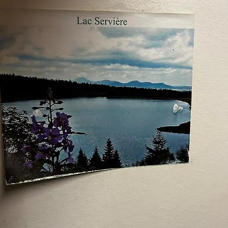 Super-besse Le Bleu Serviere Chez Lorenzo Et Severine 아파트 *